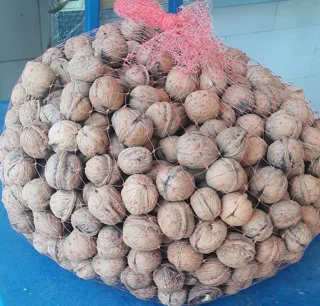 گردو اصل تویسرکان در مجموعه مزرعه