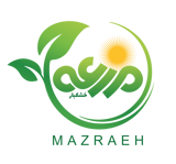 آجیل و خشکبار مزرعه تویسرکان